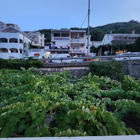 Homestay Bozovic I Budva